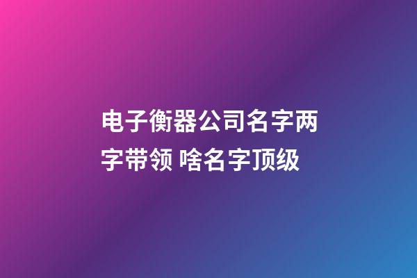 电子衡器公司名字两字带领 啥名字顶级-第1张-公司起名-玄机派